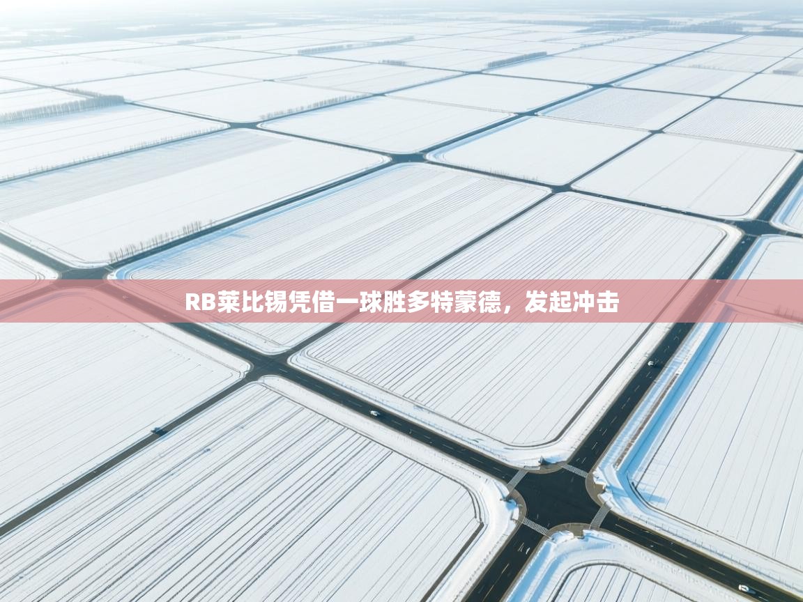 RB莱比锡凭借一球胜多特蒙德，发起冲击  第1张