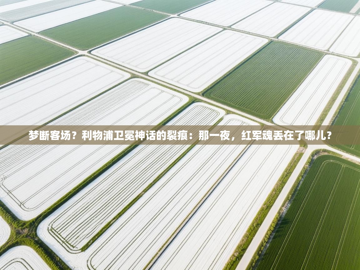 梦断客场？利物浦卫冕神话的裂痕：那一夜，红军魂丢在了哪儿？  第1张