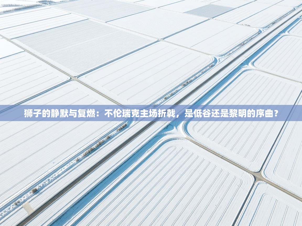 狮子的静默与复燃:不伦瑞克主场折戟,是低谷还是黎明的序曲? 第2张