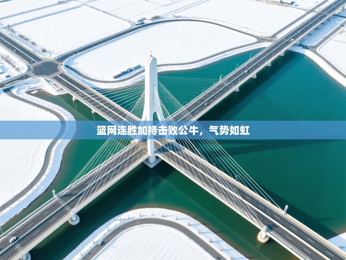 篮网连胜加持击败公牛，气势如虹  第2张