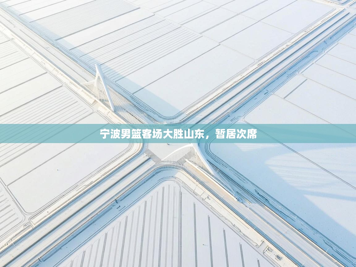 宁波男篮客场大胜山东，暂居次席  第2张